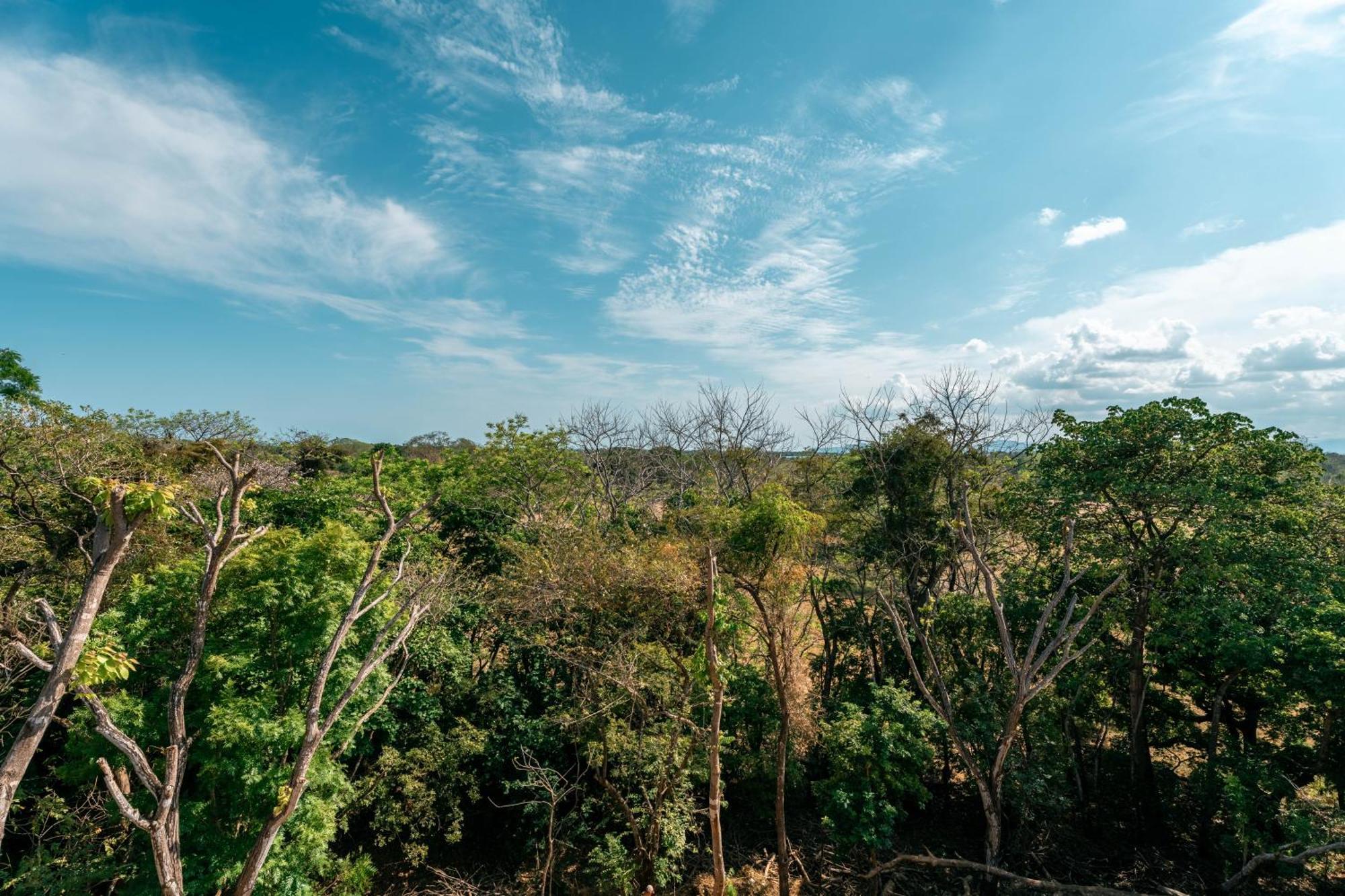 Hotel Alaya Yoga & Surf & Retreat Playa Venao Exteriér fotografie