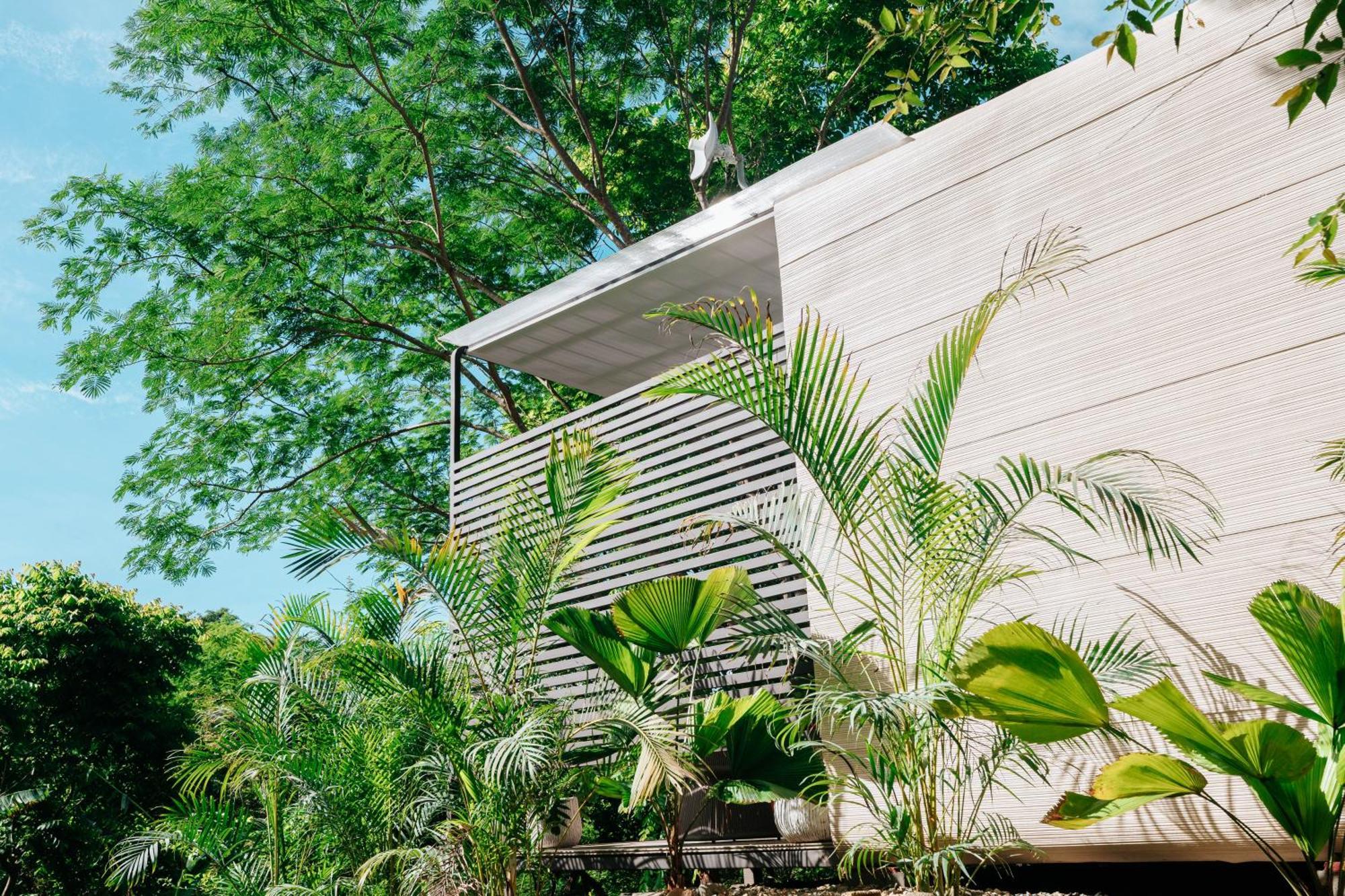 Hotel Alaya Yoga & Surf & Retreat Playa Venao Exteriér fotografie